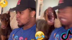 Bark at Your Dog and see their Reaction – TikTok Trends compilation