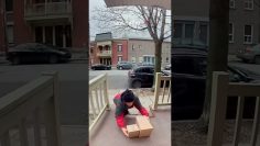 Caught on Camera: Christmas Package Thief in Montreal – Shocking Holiday Crime