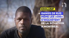 EXCLUSIF |  Gangs de rue à Montréal: même les «OG» sinquiètent de la situation