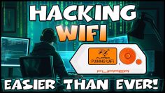 Flipper Zero Wifi Hacking has Never Been Easier!  Updated for 2024!