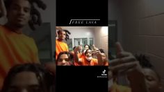 Free Yung Lava🔓🌋🐐