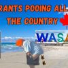 IMMIGRANTS DEFECATING IN PUBLIC ACROSS ONTARIO !