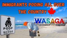 IMMIGRANTS DEFECATING IN PUBLIC ACROSS ONTARIO !