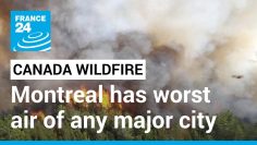 Montreal has worst air of any major city as wildfires rage, according to monitor • FRANCE 24