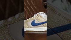 Nike Dunk Montreal Bagel Special Box Edition