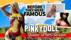 PINKYDOLL | Before They Were Famous | The Untold Story of Tiktoks NPC Stream Queen Fedha Sinon