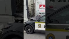 Police CAR CRASH #smashed #18wheeler #policecar #montreal #accident #staysafe