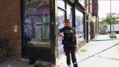 Police raid, shut down illegal magic mushrooms shop in Quebec