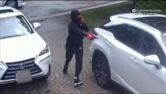 Shocking video of man being shot in his Pickering driveway released by police