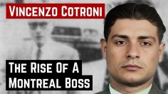 THE RISE OF A MONTREAL BOSS VINCENZO COTRONI