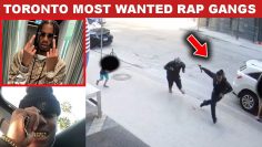 Toronto Most Wanted Rap Gangs: Driftwood vs  Regent Park