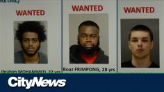 Toronto police seek armed & dangerous suspects