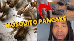 Wow 😮 Mosquito ? You wouldnt believe that they have no choice !!  #africa ￼#reactionvideo