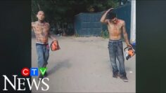 Bloodied men carrying chainsaws arrested at a popular Toronto beach