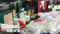 Major players in Italian crime family taken down in massive bust in Ontario