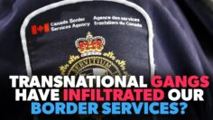 GANGS Have Infiltrated Canadas BORDER SERVICES?!