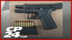 Two arrests made after firearm, large quantity of various drugs found inside Mississauga home