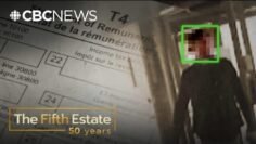 Who’s stealing millions from Canadian taxpayers? | The Fifth Estate