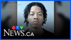 Police release suspect identities in Toronto double-homicide