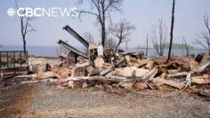 Some Lac du Bonnet evacuees return to find homes destroyed by wildfire