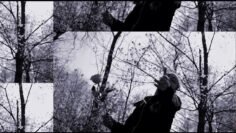 1ne.Bk – Moving Forward (Official Music Video)