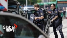 Austria school shooting leaves at least 9 dead, including suspect