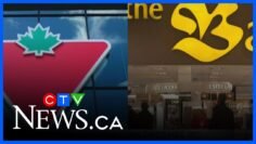 Canadian Tire seeking judges approval to buy Hudsons Bays intellectual property