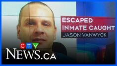Escaped inmate captured