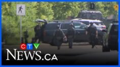 Man detained following lengthy stand-off