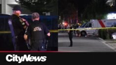 3-year-old girl dead after being hit by a driver in Surrey complex