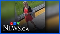 Calgary police seek suspect in sex assault of minor