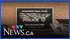 Suspect charged with stabbing a police officer