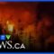Rain assists in Vancouver Island wildfire fight
