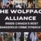 Inside Canada’s Most Dangerous Crime Syndicate: The Wolfpack Alliance