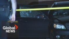 Man on trial for Toronto murder testifies he was just shooting at empty car