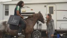 Picking Up Uber Riders On a Horse!