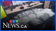 Record cocaine seizure made