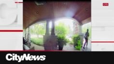 Calgary Police seek suspects after over $23,000 in fraudulent credit card charges made