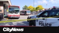 FROM THE SCENE: Woman dies after being pinned under TTC bus