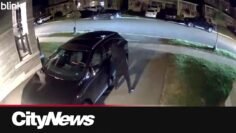 High-end vehicle theft caught on home surveillance