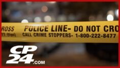 One person injured after shooting at Islington and Steeles