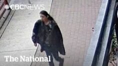 Random stabbings, attacks put Vancouver on edge