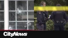 Shakedown: Extortion in B.C.’s South Asian community