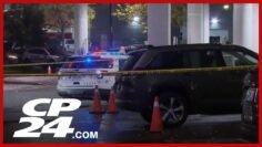 York Regional Police investigating shooting in Woodbridge